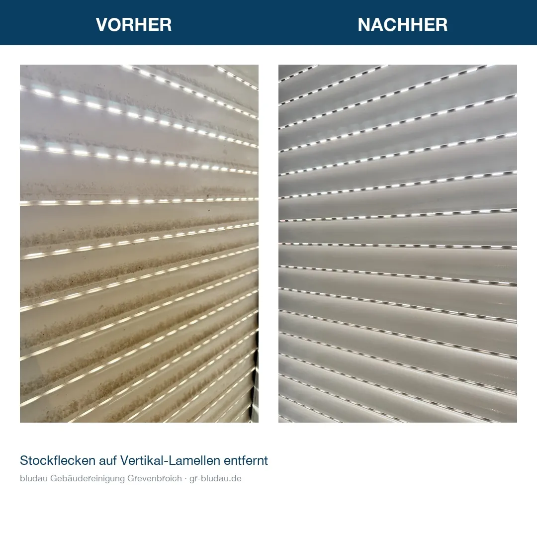 Vorher-Nachher-Vergleich eines Außenrollladens mit Stockflecken und nach der Reinigung in einem Privathaushalt in Grevenbroich